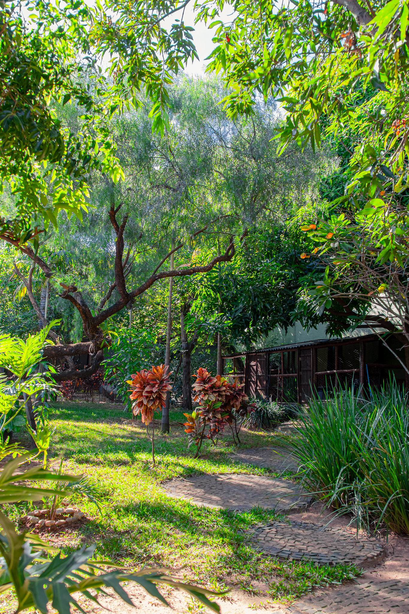 Foto da Colégio Jardins Mediterrâneo — Área externa